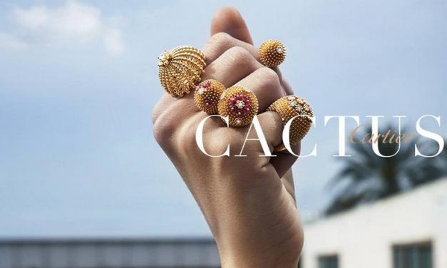 NOVÝ CACTUS DE Cartier
