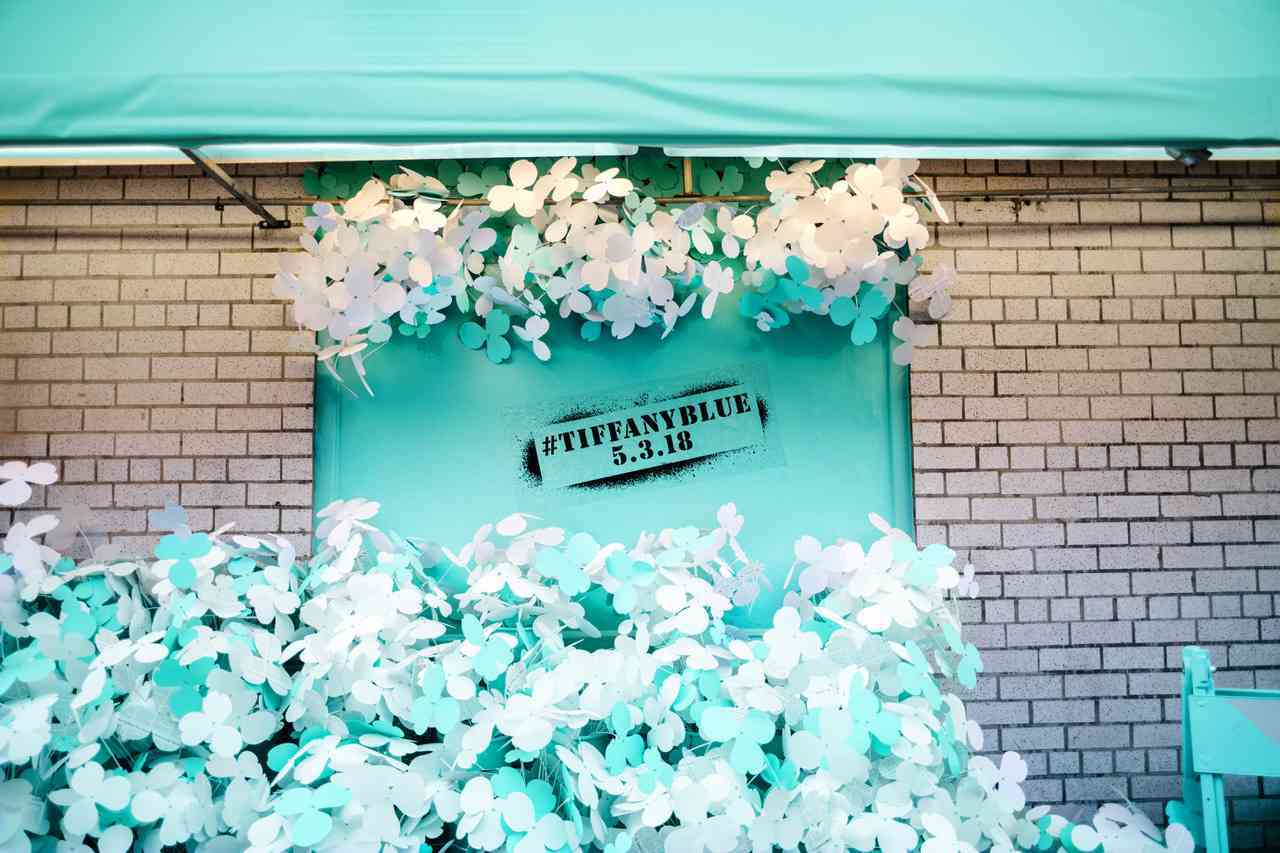 Tiffany Blue New York 2 | Pandora představuje kolekci pro čtyřnohé miláčky 149